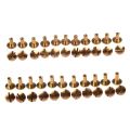 Solid Brass Button Stud Screw Nail Screw Back Leather Rivet Belt 10 PCS Arc 8mm & 10 PCS 10mm. 