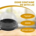 50 Pack Mini Cupcake Containers Clear Plastic Cake Box with Dome Lids for Muffin Mooncake Dessert Cheese Pastry. 