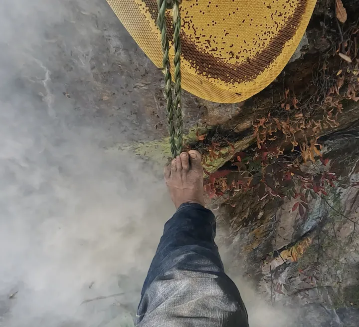 Clinical%20Mad%20Honey%20by%20Mad%20Honey%20Store-%20300gm%20-%20Image%205