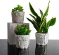 Home Decoration Items 3 Piece Mini Owl Design Flower Pot Succulent Planter. 