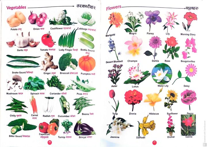 All%20In%20One%20Book%20For%20Kids%20(%20Laminate%20Paper)%20-%20Image%203