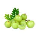 Amala Indian Gooseberry Powder 500gm. 