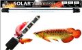 Neo Helios Solar Color Booster Aquarium Light ST-1420 142cm 6700k 45Watt For 5ft Aquarium By Crown Aquatics. 