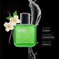 Wild Stone Forest Spice Eau De Parfum For Men -100ml. 