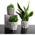 Home Decoration Items 3 Piece Mini Owl Design Flower Pot Succulent Planter. 