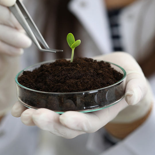 Bombay%20Shaving%20Company%20Anti%20Hair%20Fall%20Oil%20with%20Castor%20and%20Root%20Biotech%20Technology-%20Reduces%20Hair%20Fall%20in%208%20Weeks%20(100%20ml)%20-%20Image%207