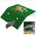Turtle Basking Platform Large Size By HAMROPETS. 