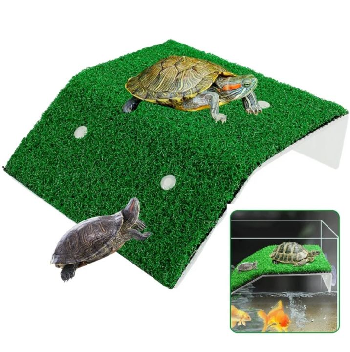 Turtle%20Basking%20Platform%20Large%20Size%20By%20HAMROPETS%20-%20Image%203