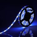 16.4 Ft (5 Meter) Rgb Led Color Changing Bright Long Lasting Strip Lights. 
