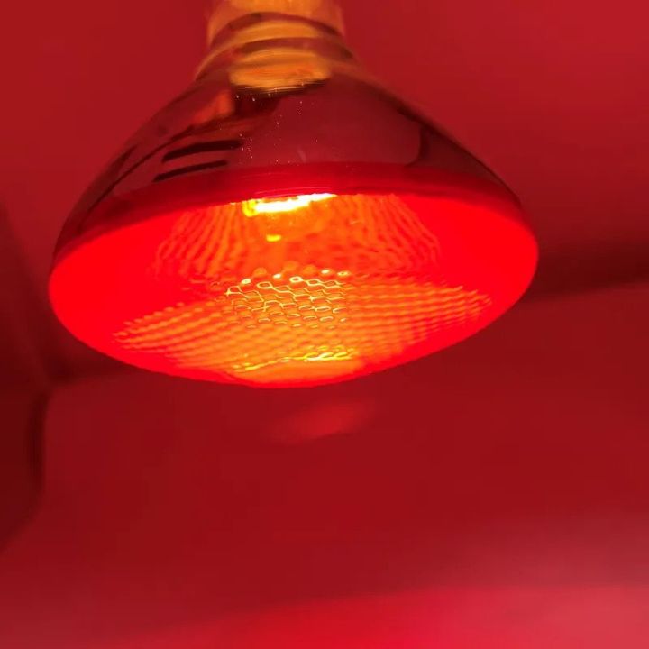 Infrared%20Heating%20Lamp%20Breeding%20Bulb%20With%20Free%20Heavy%20Duty%20Pendent%20Holder,%20200W/250W%20Pet%20Brooder%20Hatch%20Chicken,%20Animals%20Infrared%20Lamp%20By%20Bijulipasal%20-%20Image%207