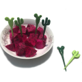 Fruit Forks Set Party Dessert Cactus Appetizer Picks Portable Food Kids Sticks Cafe Reusable Decorative Toothpicks Set. 