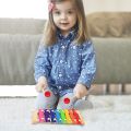 Wooden Xylophone Children's Musical Instruments Toy 8 Keys Preschool Educational Gift for Kids BT. 