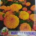 20+ Marigold Navrang Seeds, Excellent Seed 89+ germination Rate. 