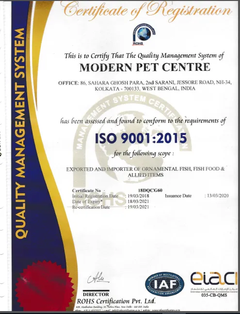 Akira%20Blood%20Parrot%20100gm(8pieces)%20each%20100gm%20from%20animal%20feed%20center%20-%20Image%206