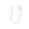 Lightning To 3.5 Mm Headphone Jack Adapter. 