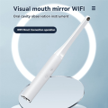 Visual Oral Mirror Wireless Visual Intraoral Skin Viewing Care Endoscopic Camera HD 1080P Dental Endoscope B. 