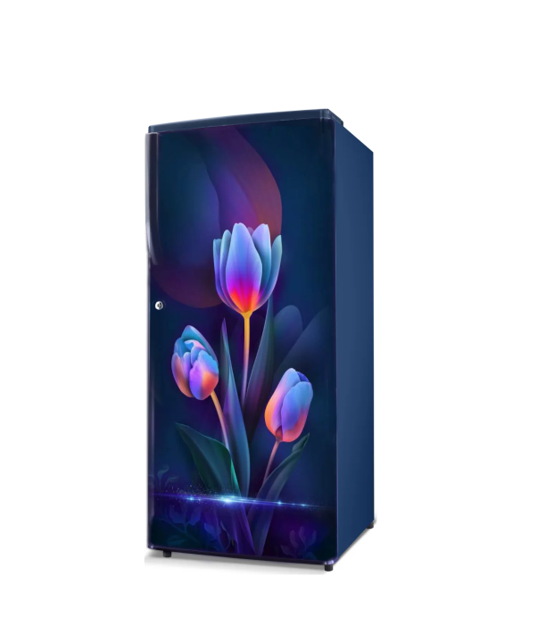 Gem%20Refrigerator%20-%20185%20Ltr%20-%20Direct%20Cool%20-%20Trisha%20-%20Image%202