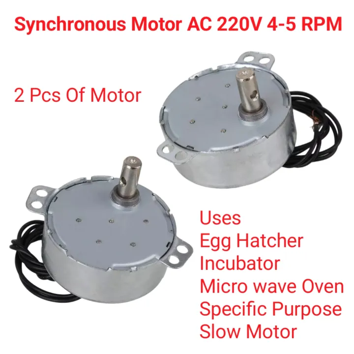 2 Pcs Synchronous Motor 5/6 RPM AC 220V-240V 4 Watts Incubator Kit ...