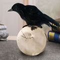 Modeow Fake Bird Toy Handmade Realistic Standing Crows Prop. 