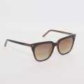 Brown Wayfarer Designed Tom Ford Polarized Premium Sunglasses For Women. 