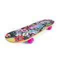 24 Inch Portable Skateboard For All Age Group. 