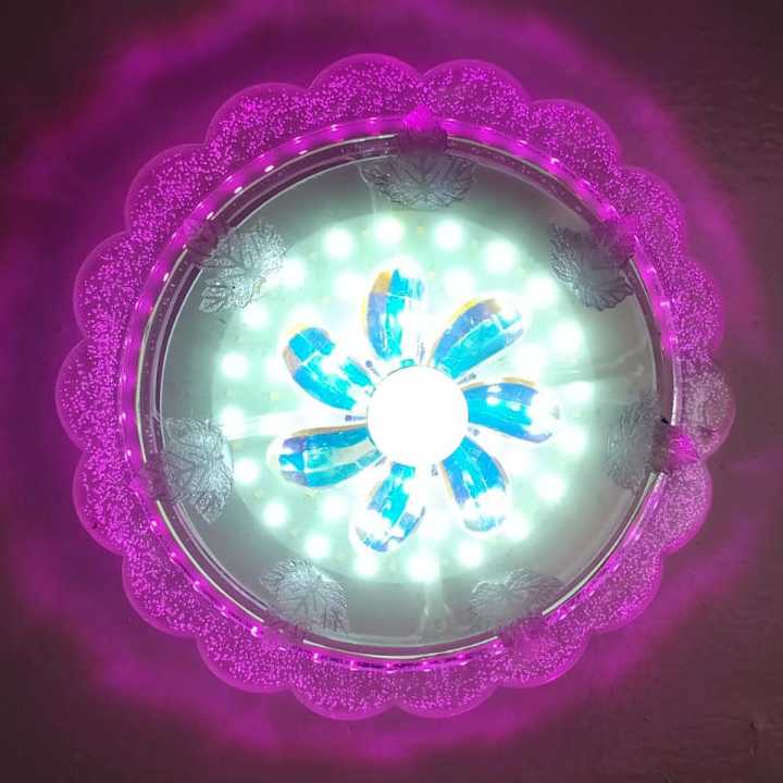 Transparent Floral Design Fancy Wall Light