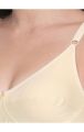 Bodycare 6584 Full Coverage Pure Cotton Bra For Women. 