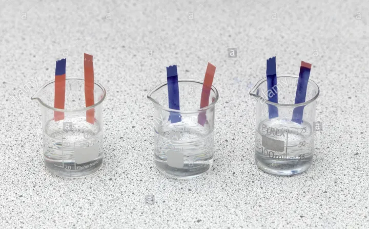 Litmus%20Paper%20Strips%20-100%20Red%20&%20100%20Blue%20Strips%20For%20Testing%20Acid%20&%20Alkali%20%7C%20Litmus%20Indicator%20Test%20Strips%20-%20200%20Strips%20-%20Image%203