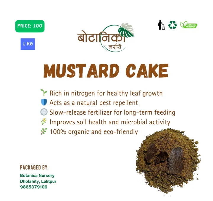 Mustard%20Cake(Tori%20ko%20Pina)%201%20KG%20-%20Image%202