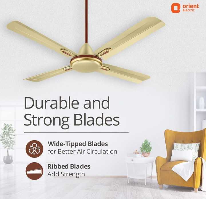 Orient%20Electric%20Quadro%20Ornamental%201200mm%20%7C%204%20Blade,%20Premium%20BEE%20Star%20Rated%20High%20Speed%20Decorative%20Ceiling%20Fan%20l%202%20Years%20Warranty%20-%20Image%205