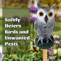 New Pest Control Owl Bird Deterrent Realistic Sunscreen Owl Ornaments Waterproof Garden Decoration Owl Decoy Outdoor. 