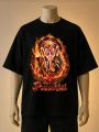Puluski Divine Ganesha Blue, Brown, Black color Printed T-Shirt. 