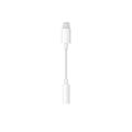 Lightning To 3.5 Mm Headphone Jack Adapter. 