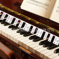 Silicone Stickers for Beginners Piano Auxiliary Removable Keyboard Note 61/88 Keys. 
