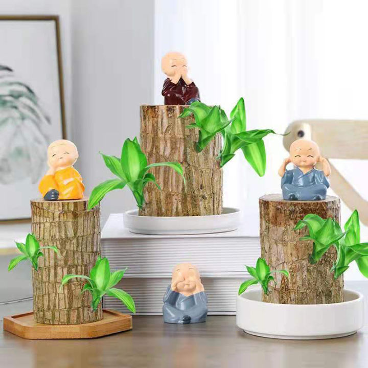 Brazilian%20Wood%20Water%20Green%20Plant%20Raise%20Lucky%20Wood%20Potted%20Small%20Tree%20People%20Indoor%20Hydroponic%20Four%20Seasons%20Plants%20JINBING%20-%20Image%202