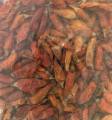 Dry Jire Khursani (birds eye chilli) 50g. 