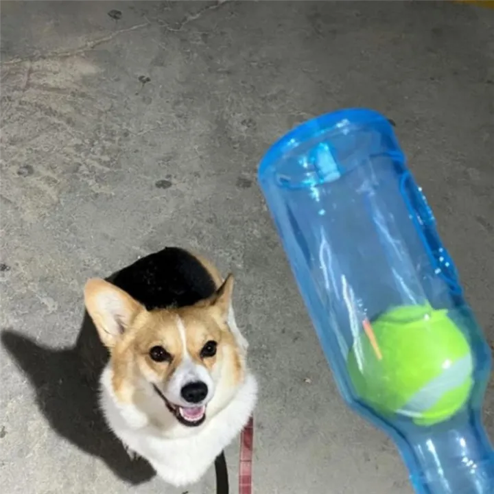 Sojhoop%20Dog%20Toy%20Water%20Bottle%20Cruncher%20Chew%20Bottle%20Toys%20for%20Dogs%20Plastic%20Water%20Bottle%20Chew%20Toys%20for%20Dogs%20with%20Ball%20Blue%20-%20Image%208