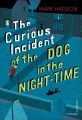 The Curious Incident Of The Dog In The Night-Time (Vintage Childrens Classics) By Mark Haddon. 