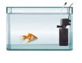 SOBO 15 Watt Fish Aquarium Internal Filter Pump WP-1000F Kohinoor Aquarium. 
