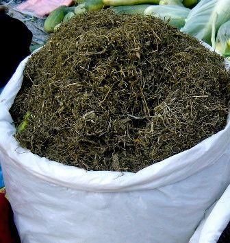 Jimbu%20(Allium%20Schoenoprasum)%20-%20Image%206