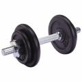 LS2311  10KG Dumbbell (1pcs). 