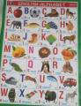 English Alphabets & Rhymes Chart / ABCD  Chart 12" x 24 "By Mitrata. 