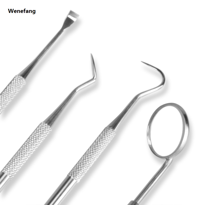 Wenefang%204pcs/Set%20Tartar%20Scraper%20Scaler%20Plaque%20Remover%20Teeth%20Cleaning%20Tool%20Fashion%20Dentist%20Dental%20Hygiene%20Kit%20Dental%20Calculus%20Remover%20Oral%20Care%20-%20Image%206
