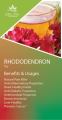 Rhododendron Arboreum Tea (50gms) / Herbs Nepal. 