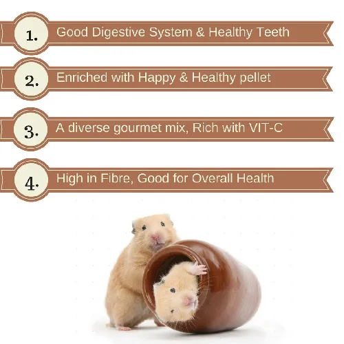 Hamster%20%20Food%20%7C%20Gerbil%20Diet%20%7C%20Crispy%20Pellets%20Muesli%20Style%20Small%20Pets%20Feed%20%7C%20With%20Vitamins%20&%20Minerals%20-%20Choose%20your%20Pack%20Option%20Available%20-%20Image%205