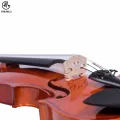 Manaslu Starter Violin with Case, Bow and Rosin. 