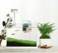 Nepall Mini Nano Clear Hanging Filter for Small Aquarium. 