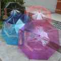 Transparent Umbrella with an Easy Grip Handle. 