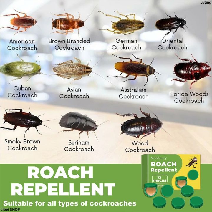 LutingSales%20promotion%20Libei%20SHOP2025%2012/24/36/48/60Pcs%20Killer%20Enduring%20Effect%20Bait%20Stations%20Roach%20Control%20Roach%20Killing%20Traps%20For%20Indoor%20Outdoor%20Use%20-%20Image%206