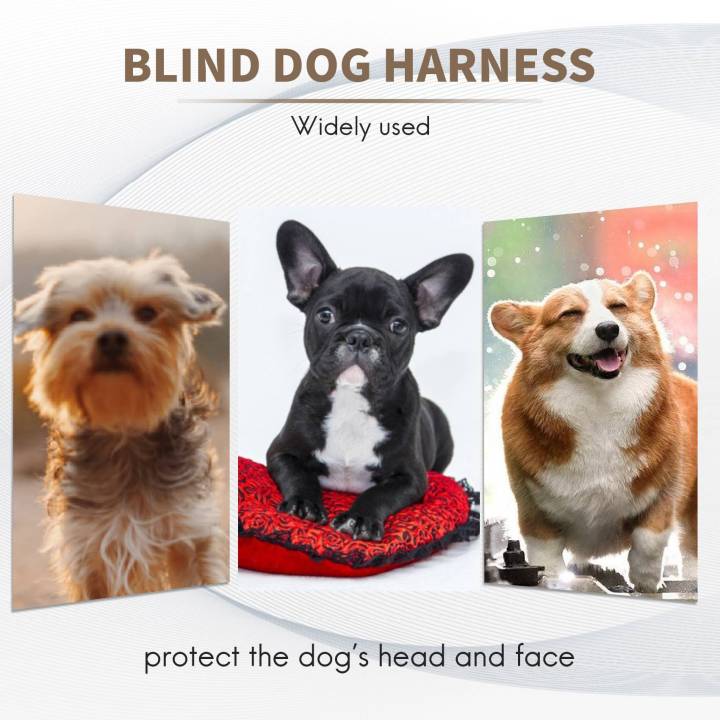 S%20Blind%20Dog%20Harness%20Guiding%20Device,%20Prevent%20Collision%20&%20Build%20Confidence%20Blind%20Dog%20Accessories%20-%20Image%202